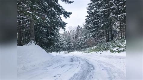 12生肖相沖|越冷越開花！2生肖「大雪後」由黑翻紅 運勢爆棚 